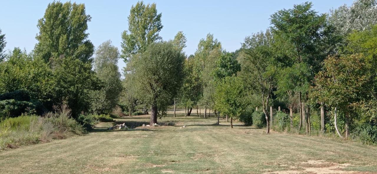 Vegvari Vendeghaz Magyarbóly エクステリア 写真